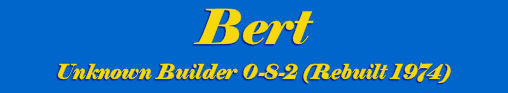 Bert