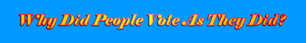 Why did people vote as they did?