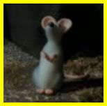 Alicia the Mouse