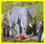 Henry's Elephant
