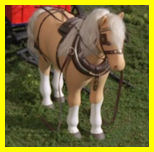 Pegasus The Horse