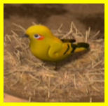 The Sodor Warbler