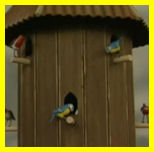 Toby's Birds